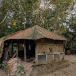 চর আলেকজান্ডার ভ্রমণ গাইড: লক্ষ্মীপুরের এই সুন্দর চরের ইতিহাস, দর্শনীয় স্থান ও ভ্রমণ পরামর্শ