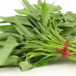 ব্রাদার আন্দ্রেঁ উচ্চ বিদ্যালয়, নোয়াখালী।