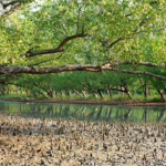 গুগল ফটোস কি আপনার ছবির গুণমান নষ্ট করছে? সম্পূর্ণ গাইড ২০২৫