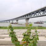 সেন্টমার্টিন দ্বীপ: নীল সমুদ্রের বুকে বাংলাদেশের স্বর্গ।