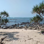 পদ্মা সেতু: বাংলাদেশের স্বপ্নপূরণের সোনালী ইতিহাস।