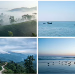 গুগল ফটোস কি আপনার ছবির গুণমান নষ্ট করছে? সম্পূর্ণ গাইড ২০২৫