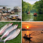 সিলেট জেলা: প্রকৃতি, ইতিহাস ও সংস্কৃতির অনন্য মেলবন্ধন।