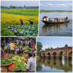 শেরপুর জেলা: সবুজ প্রকৃতি, ইতিহাস ও ঐতিহ্যের এক অপূর্ব জনপদ।