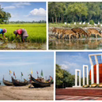 নীলফামারী জেলা: ইতিহাস, প্রকৃতি ও উত্তরবঙ্গের ঐতিহ্যের এক অনন্য মিলন।